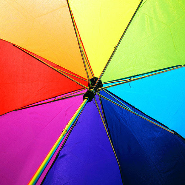 Being Colorblind Can Mean Different Things St Johns MI Avery Eye